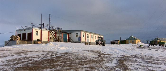 Eisbär tötet Meteorologen