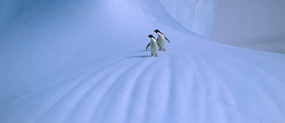 Zukünftig mehr Schnee für Polargebiete?